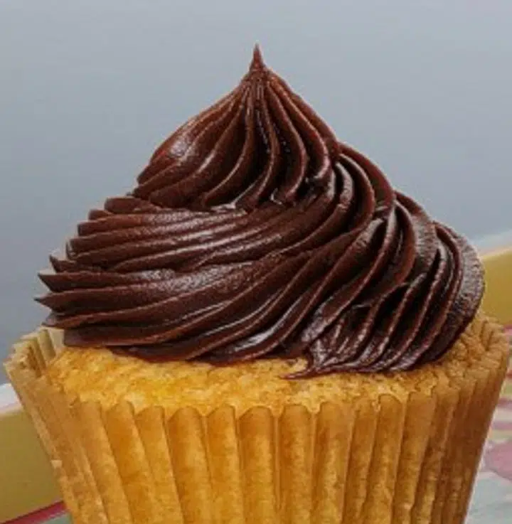 fudge icing piped on top of a cupcake