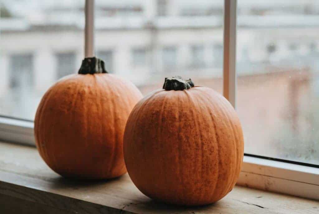two pumpkins by a window