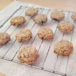 oatmeal cookies with orange zest and chocolate chips