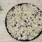 gluten free oatmeal apple bars with raisins