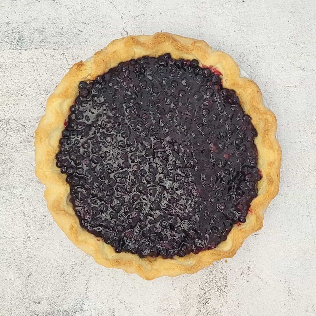 overhead view of blueberry filling in pie crust