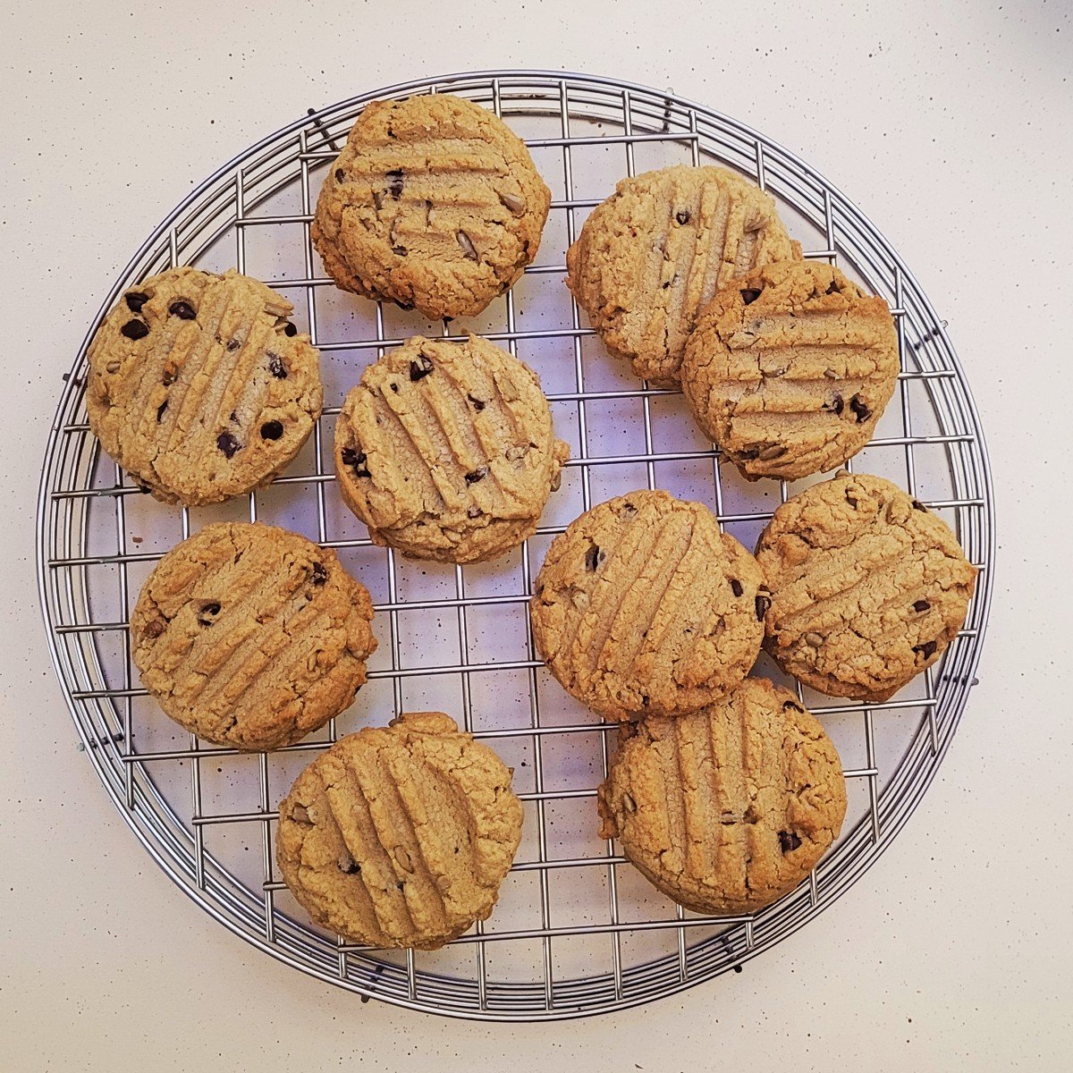 Overhead view of sunbutter cookies cooling on a wire rack