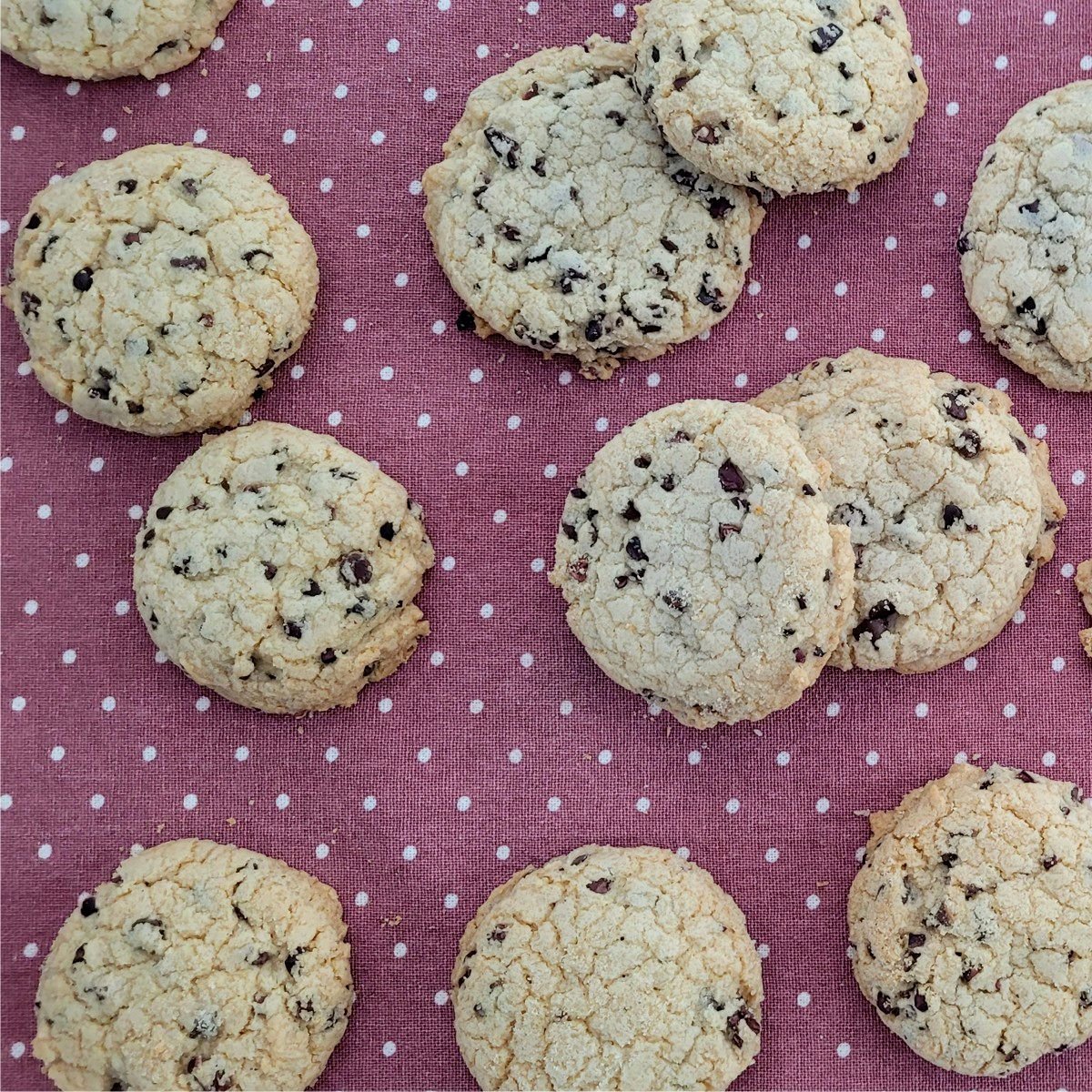 overhead view of cocoa nibs cookies on a napkin